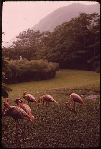 Paradise Park, a commercial enterprise | Free Photo - rawpixel