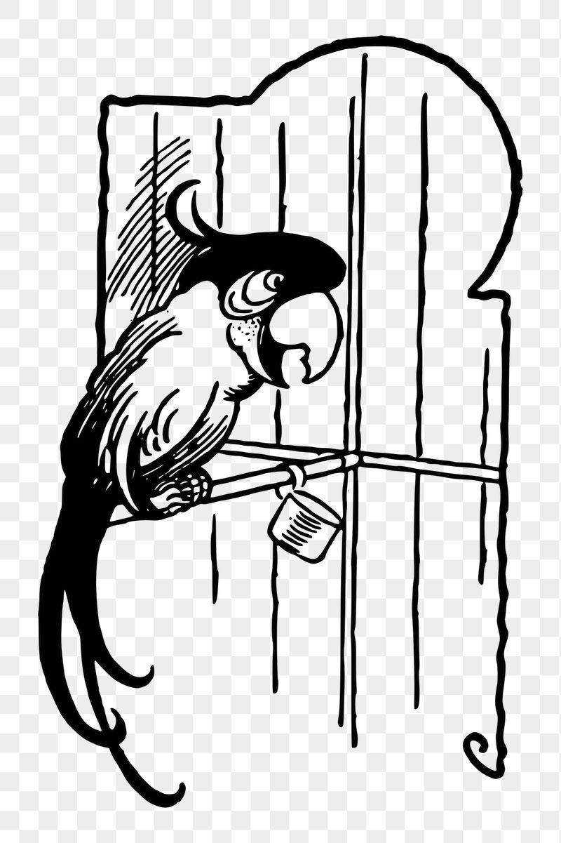 Parakeet cartoon png sticker, vintage | Free PNG - rawpixel