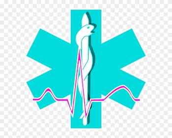 Paramedic Emergency Medical Technician Clip Art - Paramedic Emergency Medical Technician Clip Art