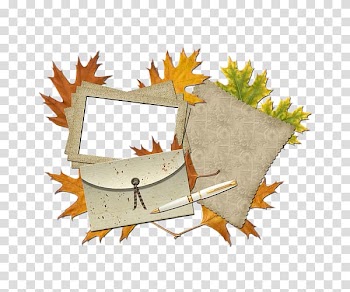 , Parasol trees envelope decorative borders transparent background PNG clipart
