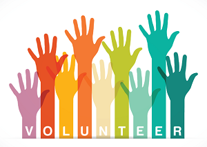 Parents / Parent Volunteer Application
