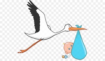 Paris Bird Infant Ciconia Pregnancy - Hand painted baby storks 
