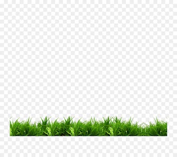 Park Bench White Green - grass 