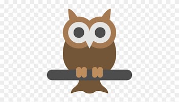 Park Cameras Wildlife Day - Owl Icon