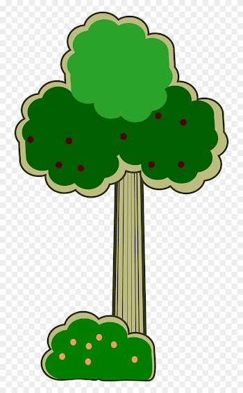 Park, Tree, Leaf, Green, Bush, Forest, Nature - George W. Bush