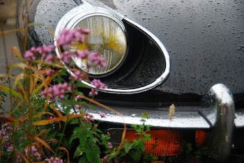 parked back car