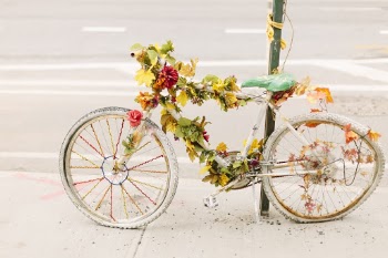 Parked Bicycle with Leaves