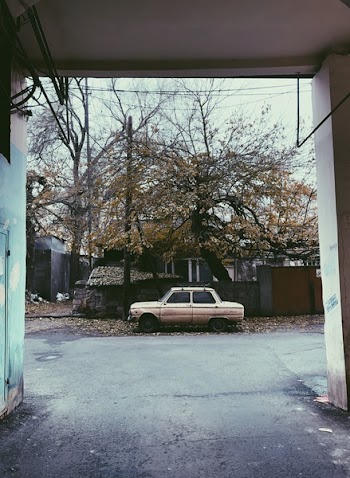 Parked Brown Sedan Near Tree