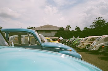 Parked Cars