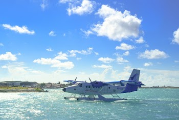 Parked Plane on Ocean
