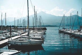 Parked White Boats