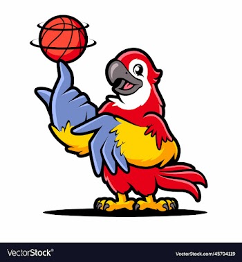 parrot basketball cartoon mascot design