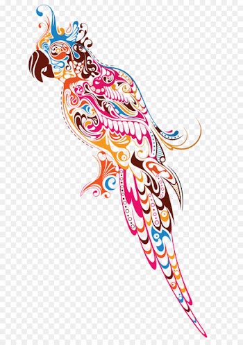 Parrot Bird Budgerigar Illustration - Five-color parrot 