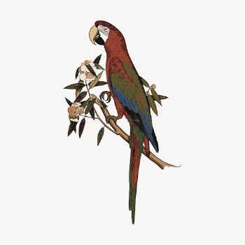 Parrot bird clipart, exotic animal | Free Vector - rawpixel