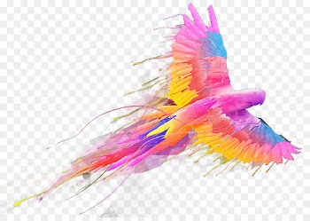 Parrot Bird - Colored parrot flying 