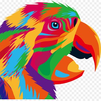 Parrot Bird Drawing Illustration - Personality graffiti eagle head portrait 