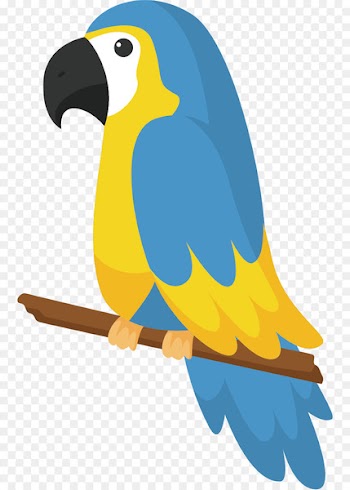 Parrot Bird Drawing - Multicolored parrot 