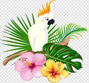 Parrot Bird Floral design, White parrot transparent background PNG clipart