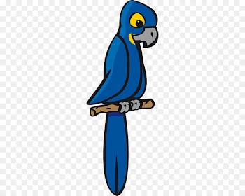 Parrot Bird Hyacinth macaw Clip art - arched pennant 