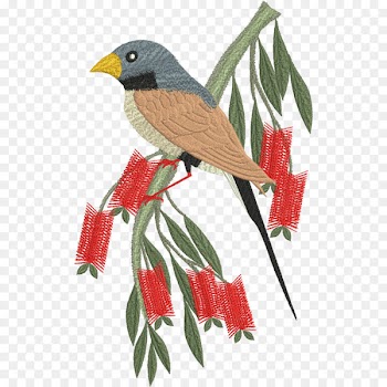Parrot Bird Machine embroidery Budgerigar - parrot 