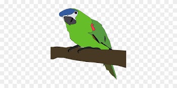 Parrot Bird Nature Wing Green Tropical Col - Parrot Clipart Png