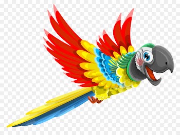 Parrot Bird - Parrot Vector 