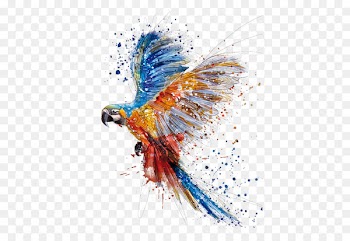 Parrot Bird Watercolor painting Drawing - parrot 
