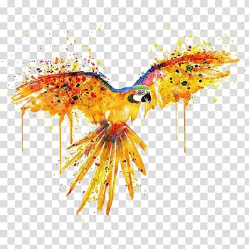 Parrot Bird Watercolor painting Illustration, Water Parrot transparent background PNG clipart