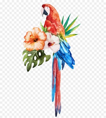 Parrot Bird Watercolor painting Stock photography - Parrot watercolor flowers 