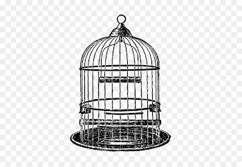 Parrot Birdcage Clip art Drawing - parrot 