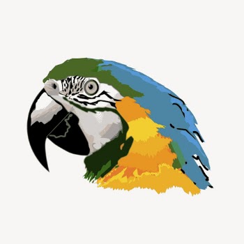 Parrot clipart, animal illustration. Free | Free Photo - rawpixel