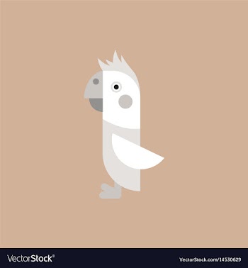 Parrot cockatoo parrot bird vector image