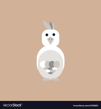 Parrot cockatoo parrot bird vector image