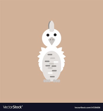 Parrot cockatoo parrot bird vector image