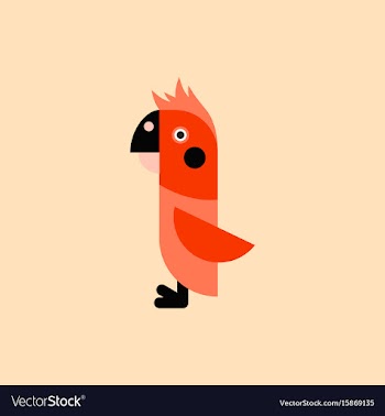 Parrot cockatoo parrot bird vector image