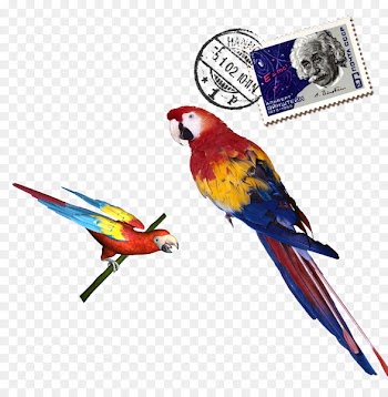 Parrot Download - Colored parrot stamps 