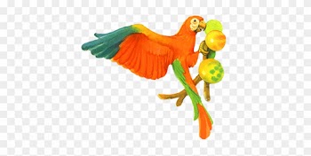 Parrot Eating Fruits Clip Art - Parrot Eating Clipart