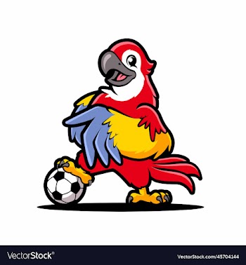 parrot football cartoon mascot design