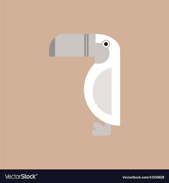 Parrot kakadu bird vector image