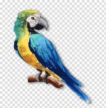 Parrot Lovebird Watercolor painting, Watercolor hand painted parrot decorative pattern transparent background PNG clipart