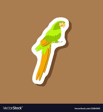 Parrot paper sticker on stylish background vector image