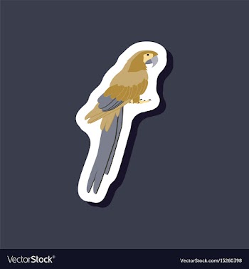 Parrot paper sticker on stylish background vector image