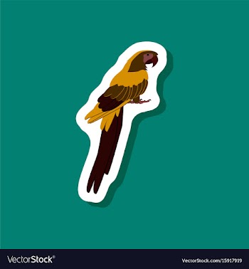 Parrot paper sticker on stylish background vector image