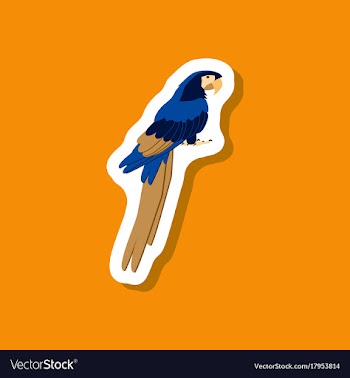 Parrot paper sticker on stylish background vector image