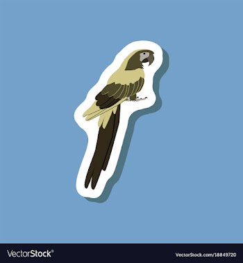 Parrot paper sticker on stylish background vector image