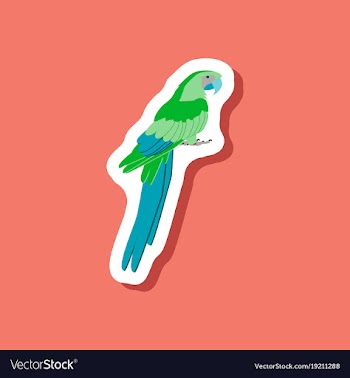 Parrot paper sticker on stylish background vector image