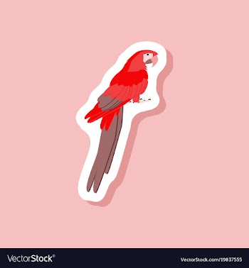 Parrot paper sticker on stylish background vector image