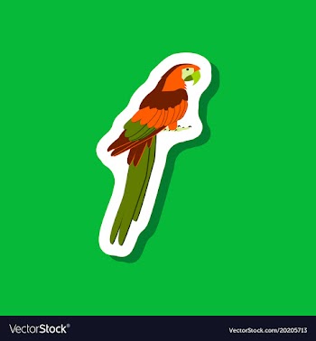 Parrot paper sticker on stylish background vector image