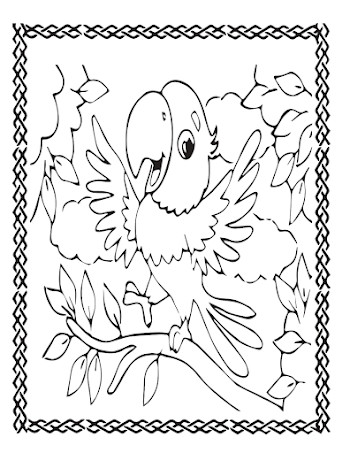 Parrot Png Free Picture Parot