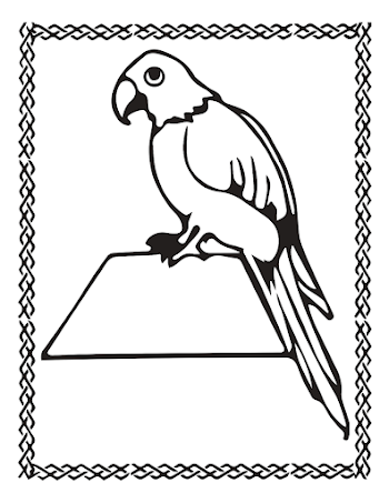 Parrot Png Free Picture Parot